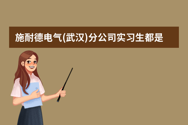 施耐德电气(武汉)分公司实习生都是在做什么？转正机会多不多？以后发展怎样？